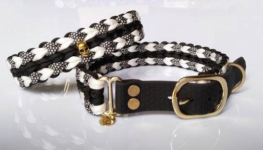 Jack black dog collar