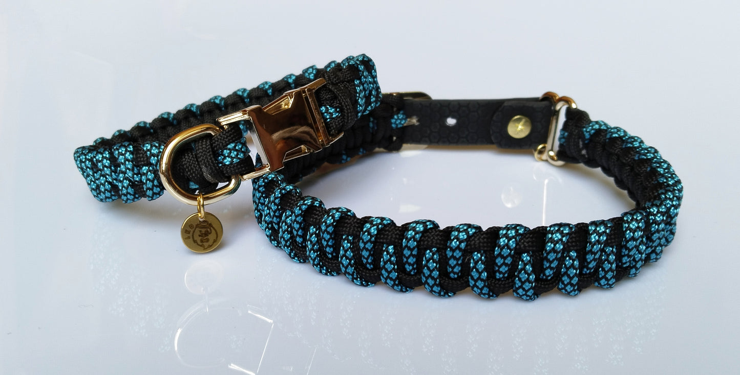 Collier pour chien Sultano Black