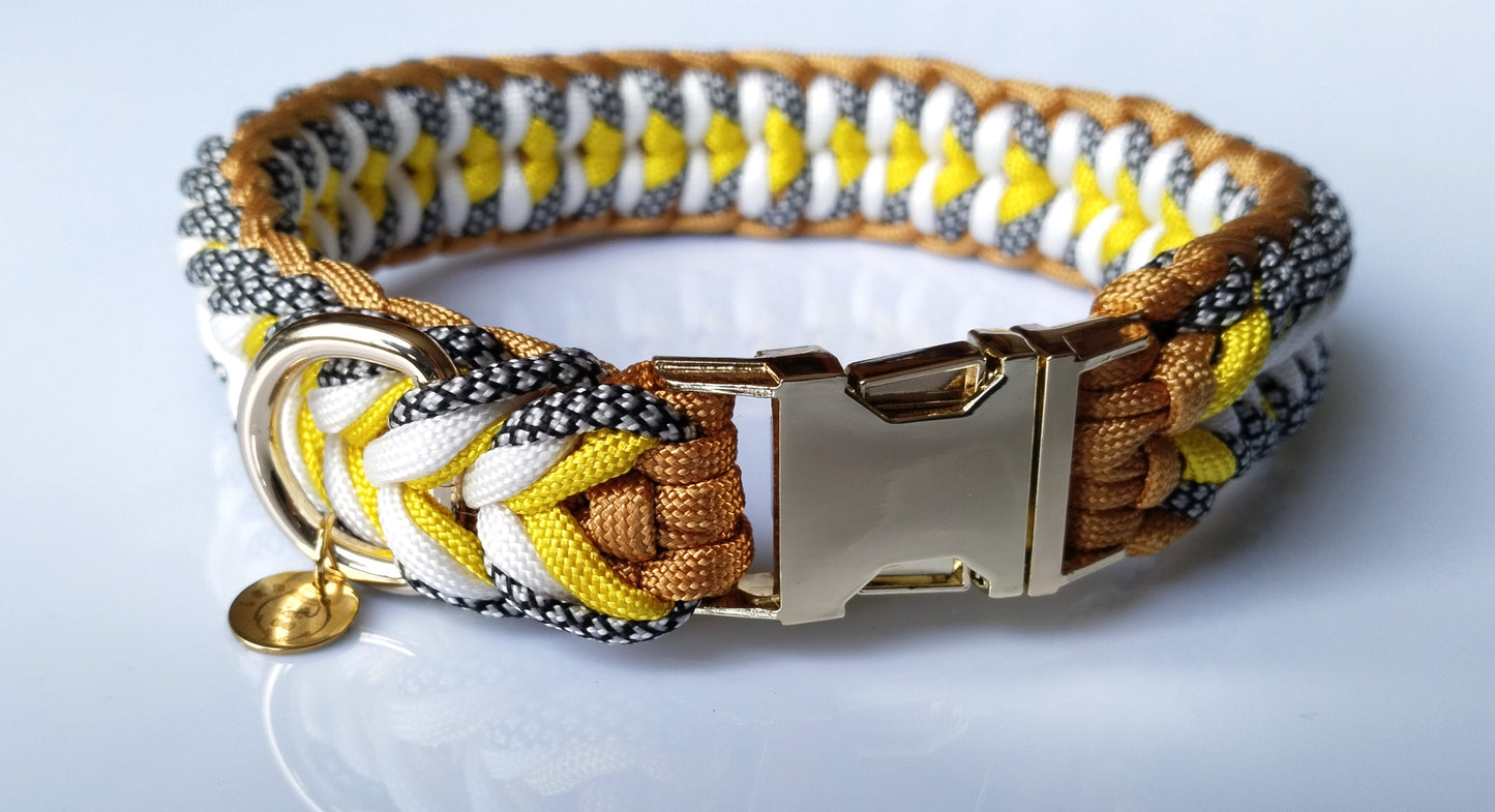 Walter Yellow dog collar 