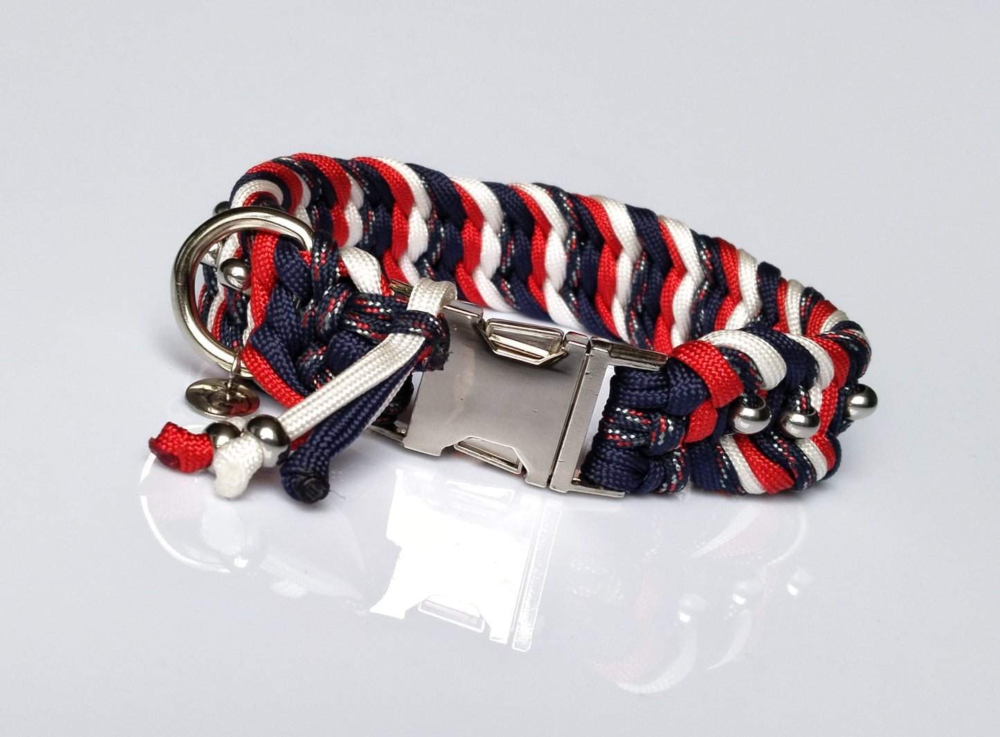 Collier pour chien Stanley Blue